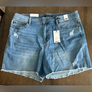 Judy Blue Distressed Blue Jean Shorts